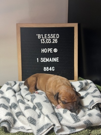 Zeni Hopeful For Today w Hilltop N Ridishia